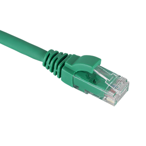 Cat 6