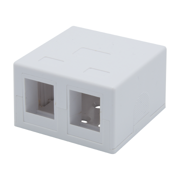 SURFACE MOUNT BOX 2 PORT Empty