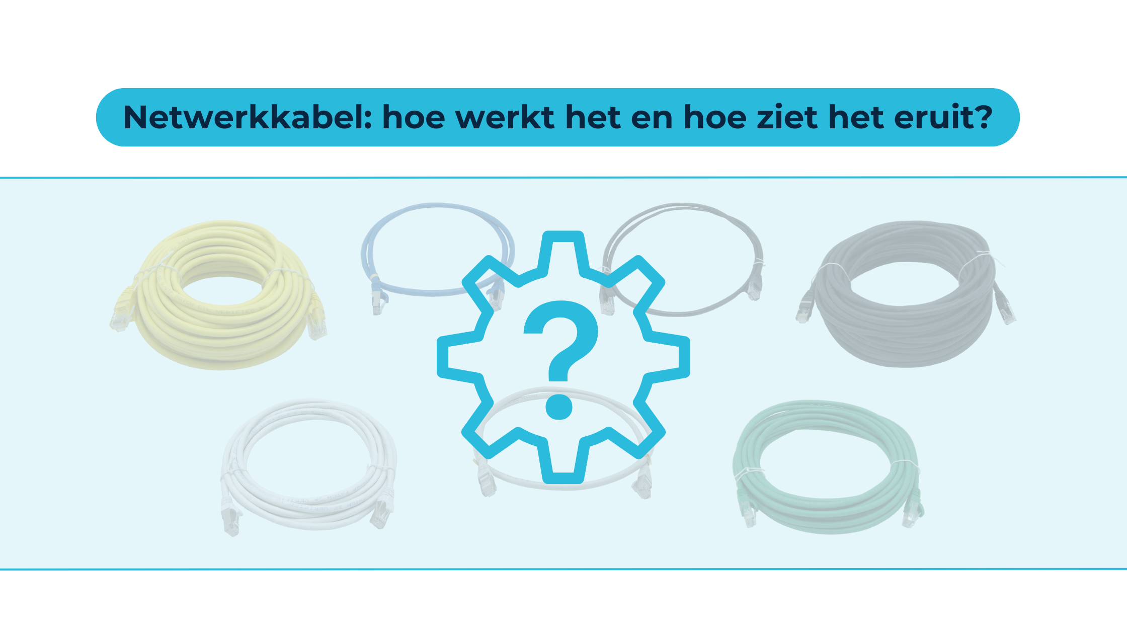 Netwerkkabel: hoe werkt het en hoe ziet hij eruit?