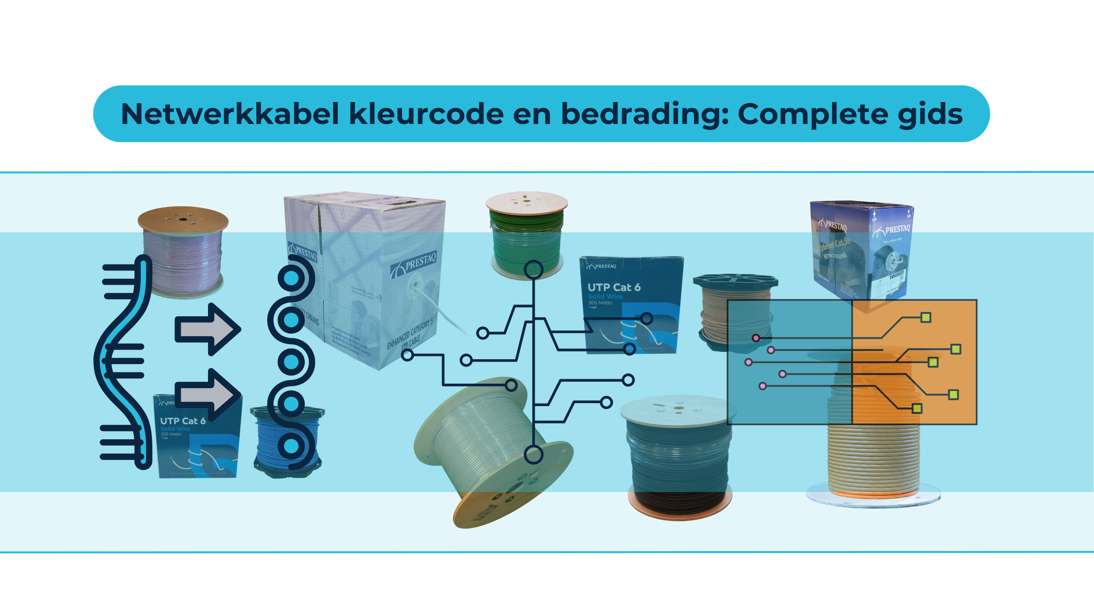 Netwerkkabel kleurcode & bedrading: schema’s uitgelegd