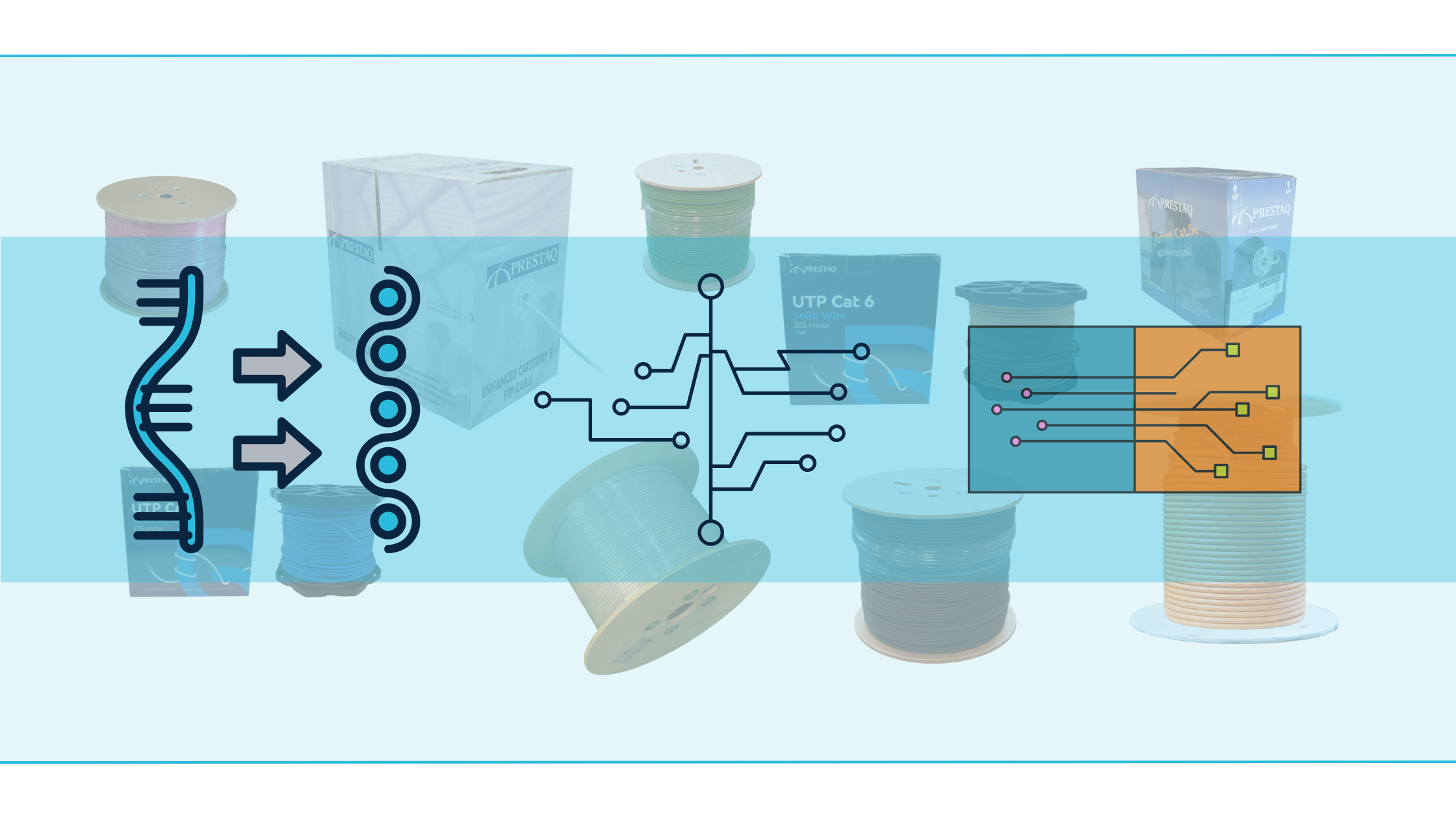 Schema van de TIA/EIA-568B kleurvolgorde in een RJ45-connector